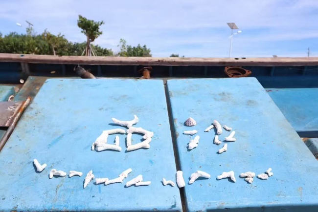 西沙的蓝 是深海无言的富饶