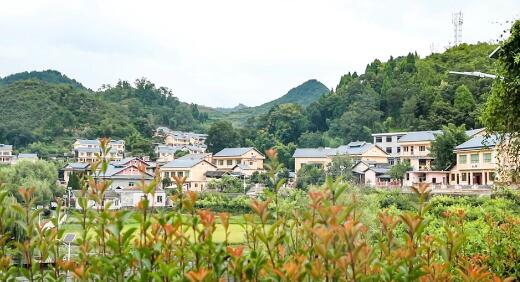 沃野秋实满 百花竞芳菲 ——遵义市村级集体经济蓬勃多样发展纪实