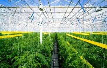 全球农业与化工资源配置格局重塑