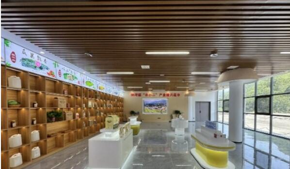 陕西旬阳市神河镇：电商助农激发乡村振兴新动能