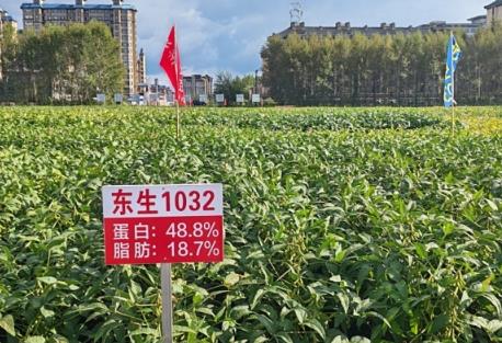 黑龙江：“五良”融合提升粮食单产