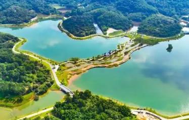 广东2030年底将建成碧带1000公里以上