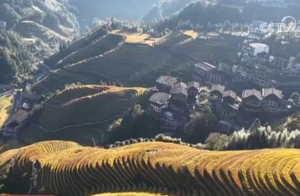 在斑斓秋色中共赏秋韵 节后文旅消费市场持续火热