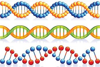 人体蛋白质组导航国际大科学计划步入实施阶段