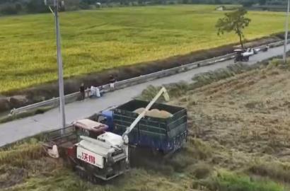 智慧农机成为“新农具”加速秋收作业 各地丰收图景正渐次展开