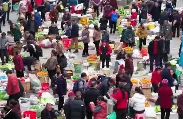 市场“向下”扎根 消费不断释放“向上”潜力