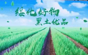 黑龙江绥化聚力打造“黑土优品·绥化好物”区域公共品牌