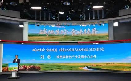 擦亮“白鹤之乡”物产名片 让镇赉特色农产品走向全国