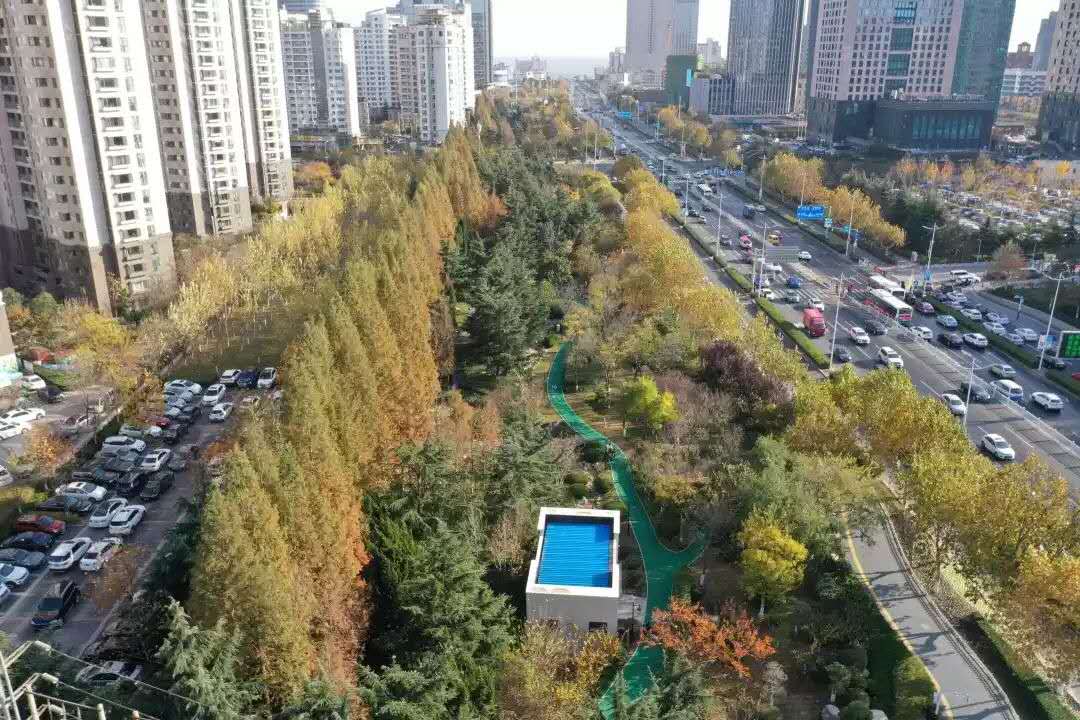 计划新造林6万亩 青岛今年将着力构建城乡一体“大绿化”格局