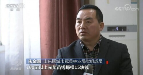 调查组，连夜成立