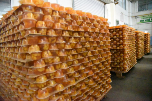 营销产品两手抓，天韵国际迎来大好局面