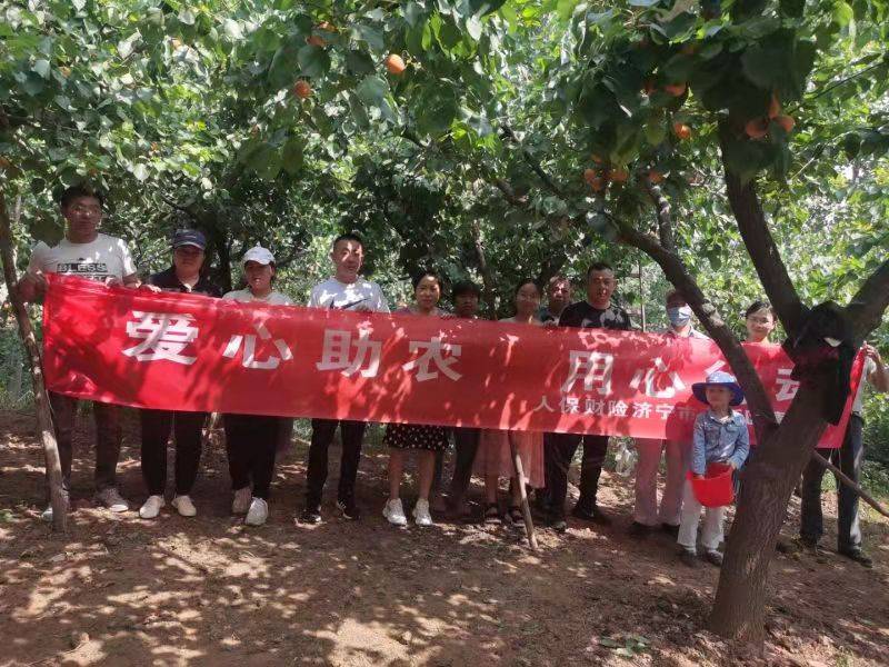 人保财险济宁市分公司 爱心助农 用心行动