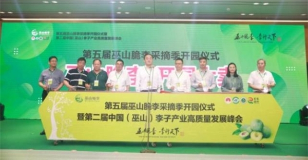 与“李”相约！巫山县成功举办第五届巫山脆李采摘季开园仪式 