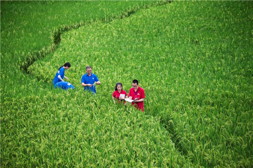 天地滋养 道地好粮 诠释一滴大国浓香