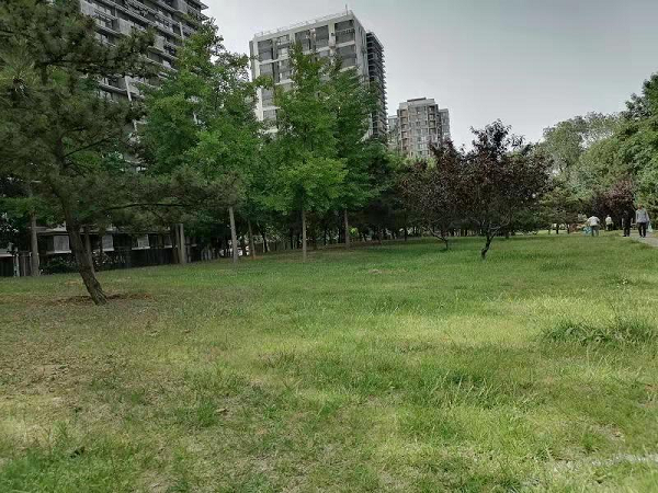 打造“井井有条”众享生活圈 构建群众满意城市新格局