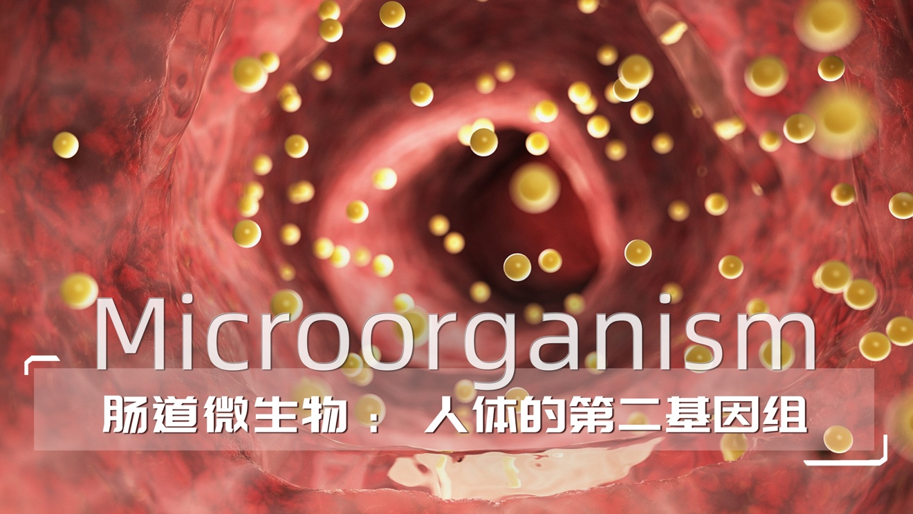 新希望乳业“菌种猎人”：自有菌种的探寻之旅