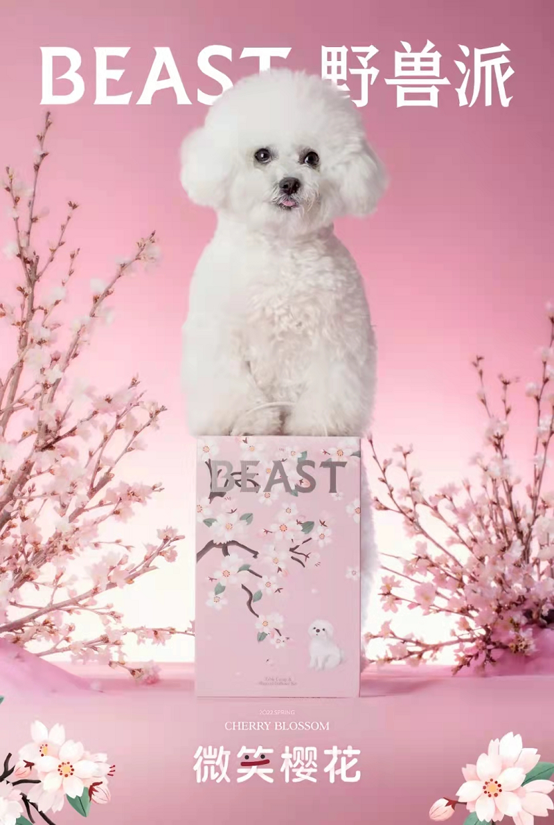  野兽派优雅呈现女神节限定花束，献给可爱女人 