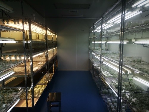 武汉艾迪晶生物用神奇“剪刀”为农业发展保驾护航