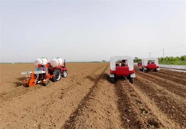  平顶山叶县：移栽正当时，机械来助力 