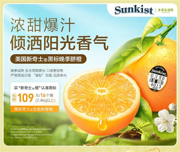  本来生活：百里挑一，站在金字塔顶端的橙子来啦！ 