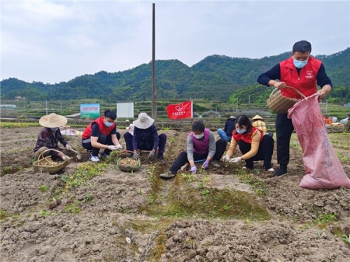  磐安县烟草专卖局：群众有需要 “香溢”来帮助 