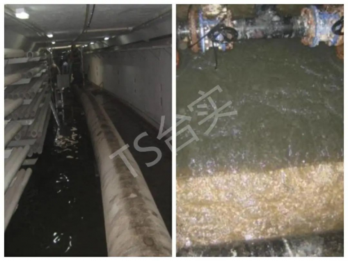 台实技术干货大放送 全国首个获鲁班奖环海管廊透水抢险工程