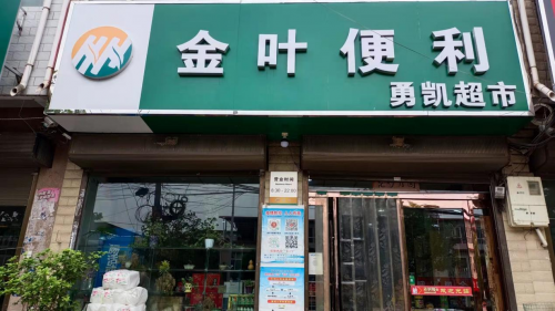 河南郏县：夹缝中逆势长出“金叶花”