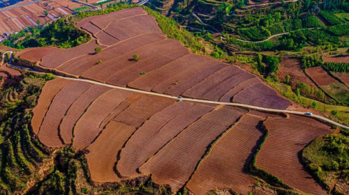 河南三门峡：强基础 补短板 争取烟叶高质量发展主动权