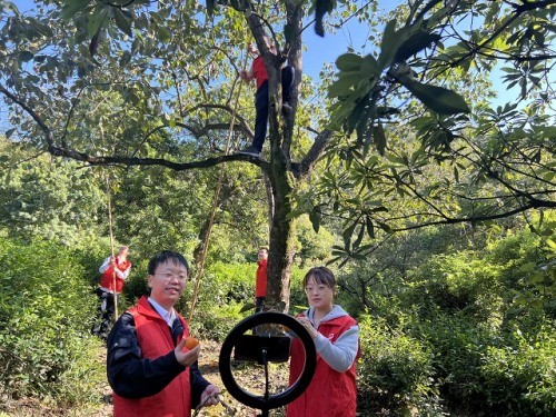 “香溢”助农解难题  志愿筑起共富路