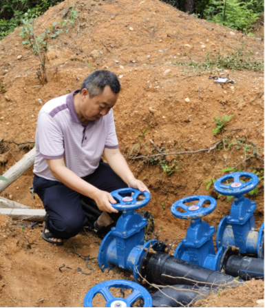 以党建引领赋能乡村全面振兴