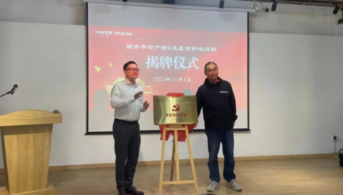 平安产险丽水中支党支部：落地龙泉市炉地烊村党建共建点