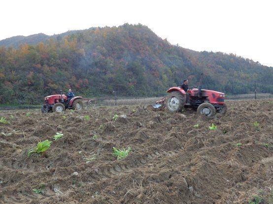 门古寺镇积极开展冬耕晒垡