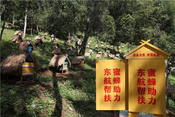东航帮扶项目“沧源蜜蜂”首度赢得蜂种销售订单
