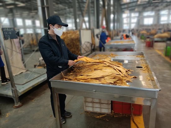 1701328514997907.jpg 2.jpg