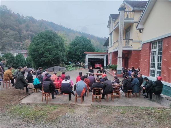 快看！这个村正在掀起湾组热议浪潮！