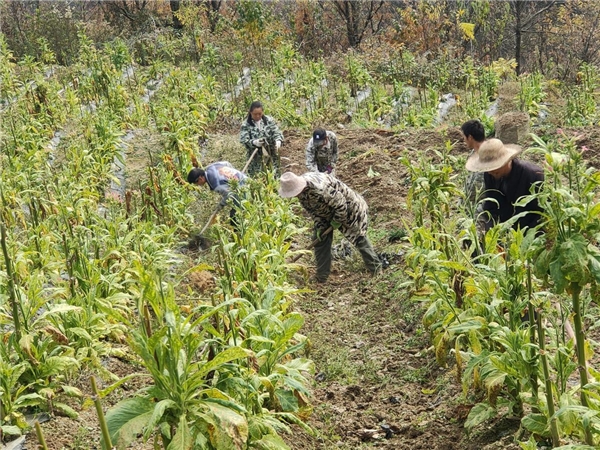 岁末收尾迎新春 夯实基础向未来