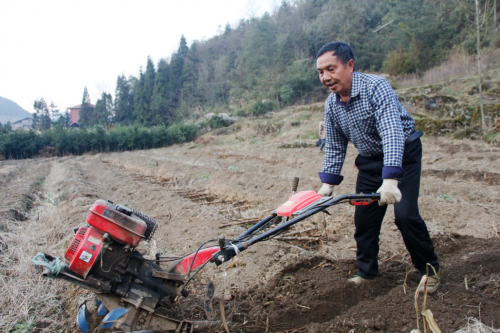 湖北利川：一个普通烟农的红色情缘