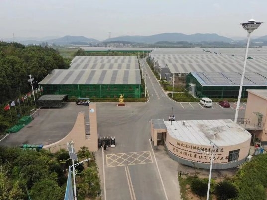 “东方阿保：运鸿集团引领数字经济新篇章，加速全球化产业布局