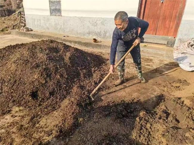深入推进饼肥发酵工作，助力烟叶质量稳步提升