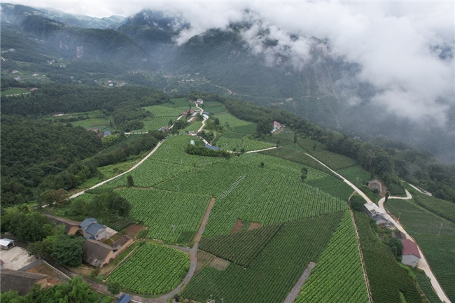 听！来自土家山寨悠扬和美的声音