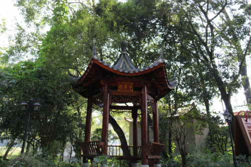 福建长汀中复村：千年古村焕发新生机