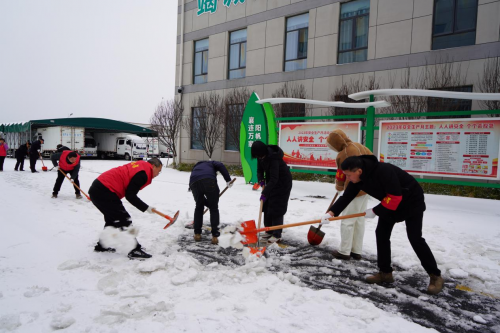 党旗飘扬我担当,迎寒而上战风雪