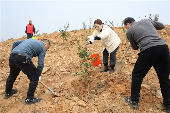 湖北松滋市烟草专卖局：植树添新绿 不负好春光