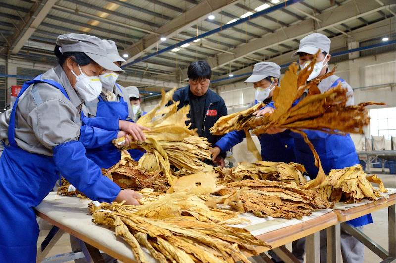 1732789191271831.png 1732789191271831.png