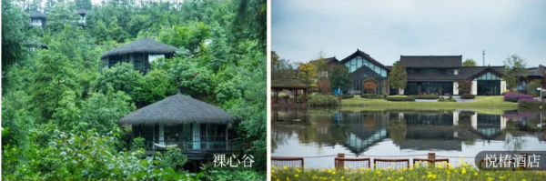 1740817592882910.png 1740817592882910.png