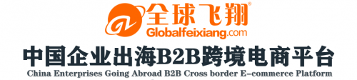 中国企业出海,全球飞翔跨境电商平台徐茂刚带队36家企业出访埃塞俄比亚