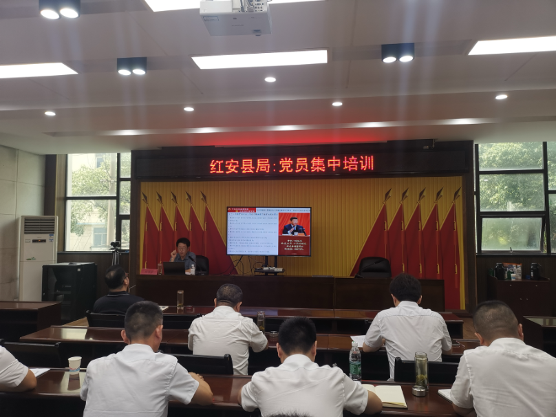 深学细悟强根基 融合赋能促提升