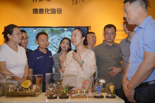 人工培育灵芝孢子粉专赠暨科普科研启动仪式举行