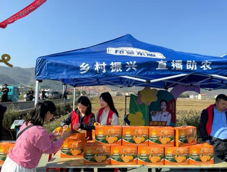 图像 图像