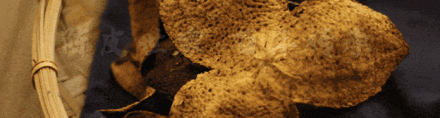 新宝堂新会陈皮入选 